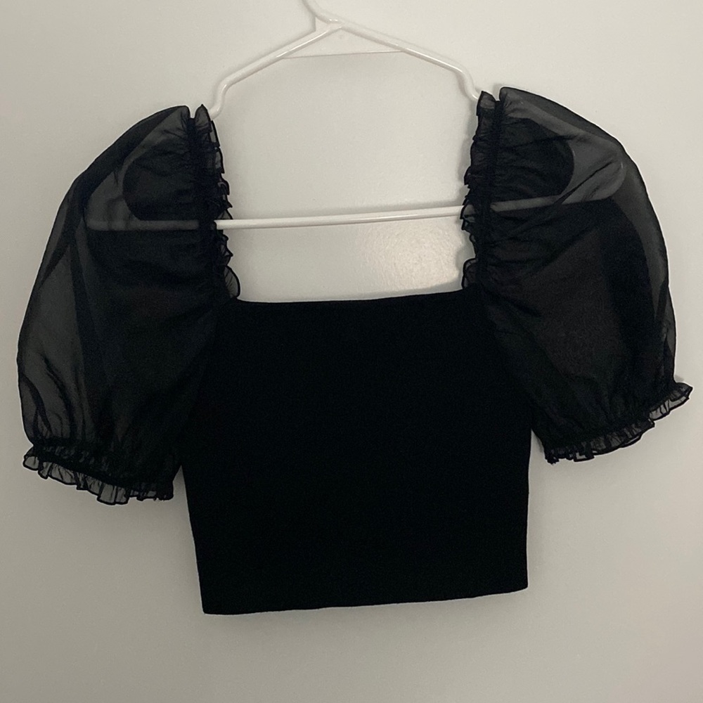 Aritiza Cropped Top